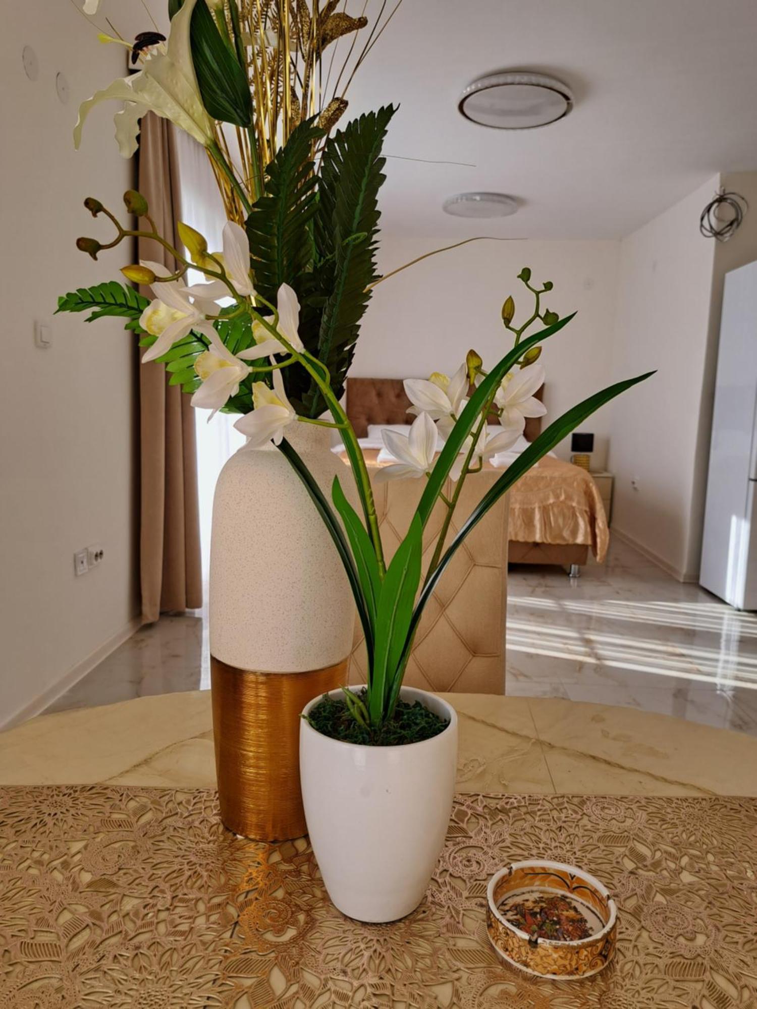Dina Lux Apartman Jagodina Exteriör bild